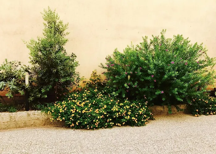 Sant' Andrea Appartement