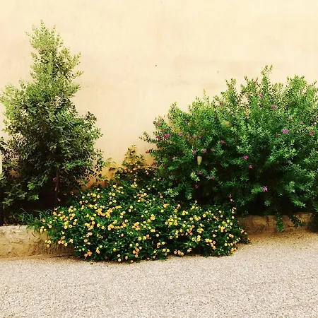 Sant' Andrea Apartment